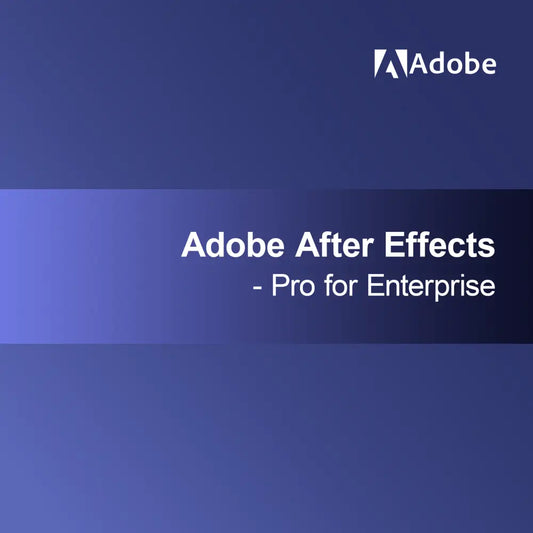 Adobe After Effects - Pro for Enterprise