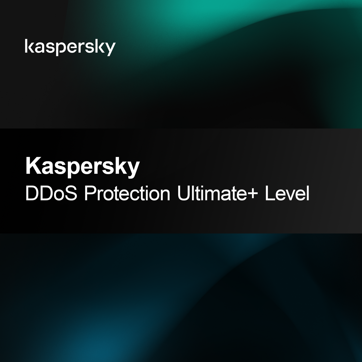 Kaspersky DDoS-beskyttelse, Ultimate+ nivå