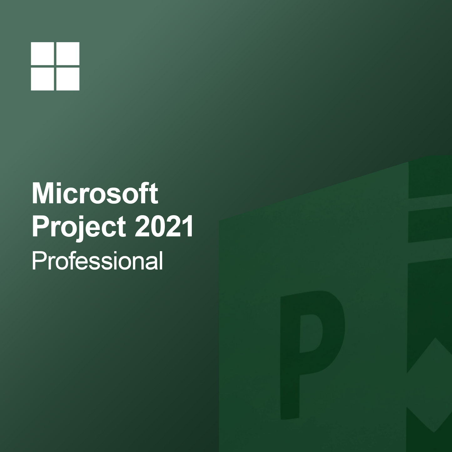 Microsoft Project 2021 Profesjonell