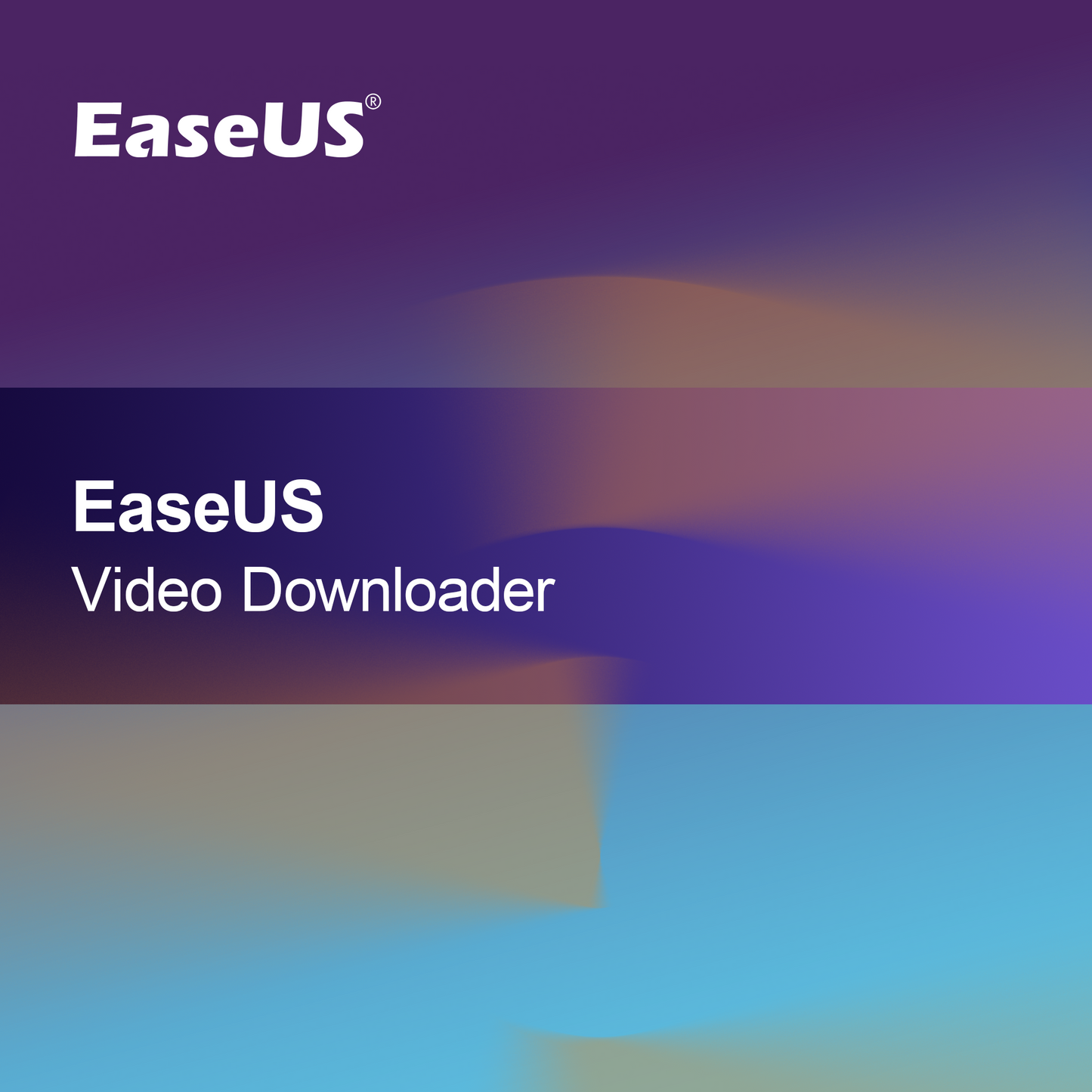 EaseUS Videonedlaster