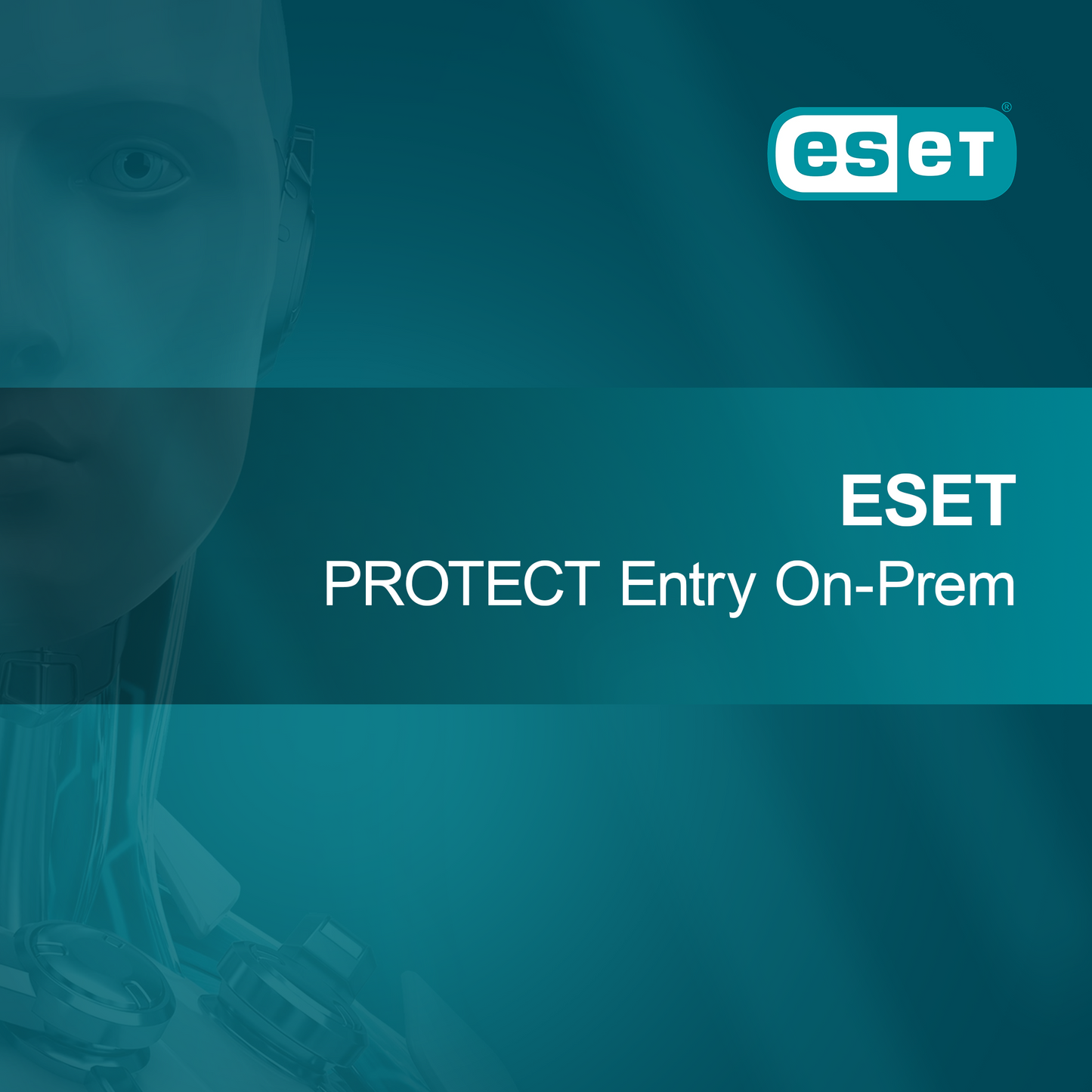 ESET PROTECT Entry På stedet
